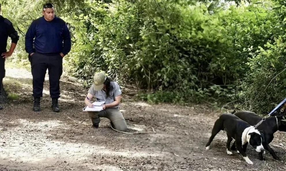 Cu&aacute;l es la multa por ingresar perros al Parque Nacional Nahuel Huapi