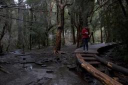 Villa Tacul los senderos m&aacute;s lindos sin excursiones