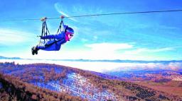 &iquest;Te anim&aacute;s a volar sobre el bosque nevado?