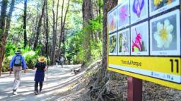 Opciones cortas en los cerros Otto, Campanario y parque Llao Llao