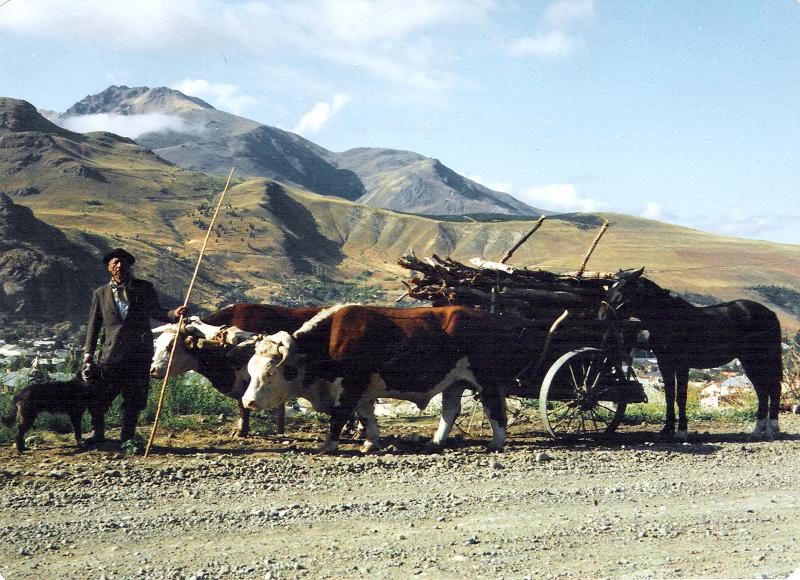 Alto R&iacute;o Percy, una perla del turismo rural a pocos minutos de Esquel