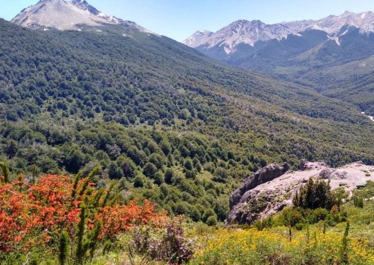 Las maravillas del Parque Nacional Nahuel Huapi