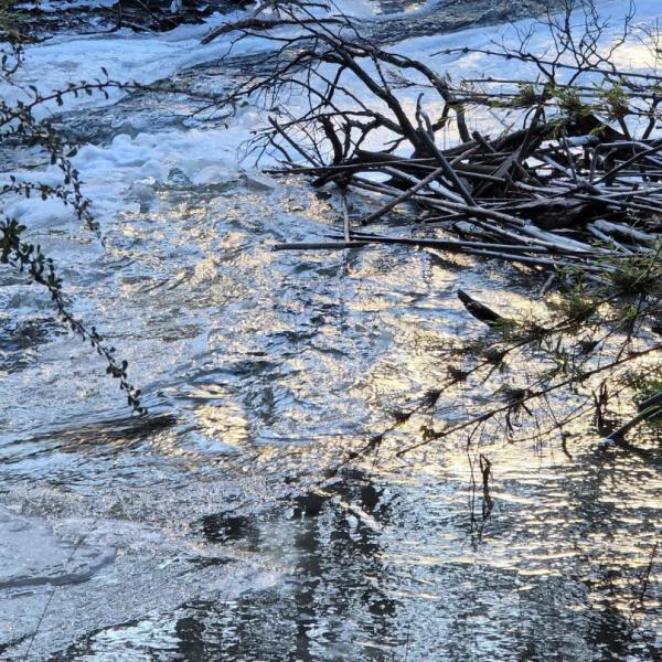 Temporada Invierno: c&oacute;mo prepararse para salir a caminar por los senderos de monta&ntilde;a