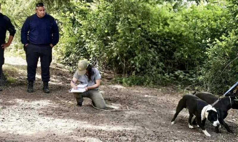 Cu&aacute;l es la multa por ingresar perros al Parque Nacional Nahuel Huapi
