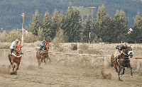 Turf - Programa de carreras para este domingo