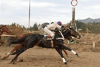 CUMPLIMOS 39 ANIVERSARIOS - El hip&oacute;dromo se viste de fiesta el domingo