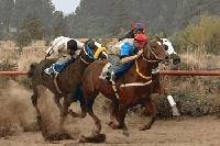 El domingo todos al hip&oacute;dromo