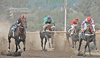 El domingo el Hip&oacute;dromo prepara una gran fiesta