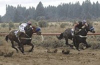 El hip&oacute;dromo vuelve al ruedo con un buen programa