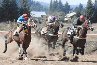 El hip&oacute;dromo vivi&oacute; una gran fiesta del turf