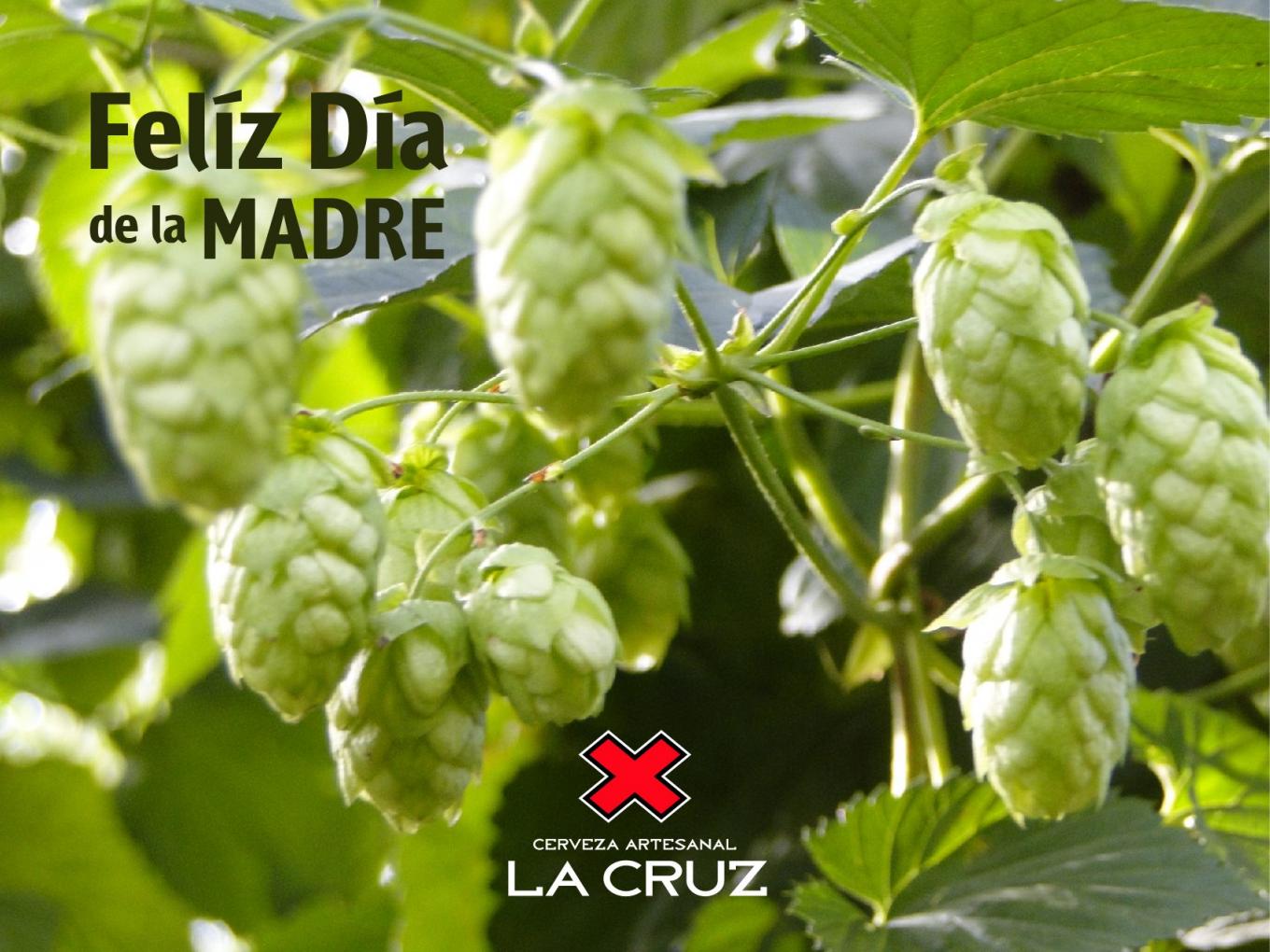 El d&iacute;a de la Madre lo festejamos en La cruz !!!!