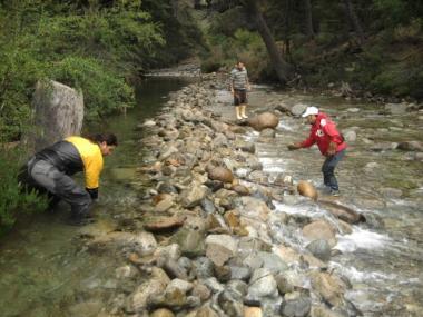 Jornada de trabajo barrial por mantenimiento red de agua