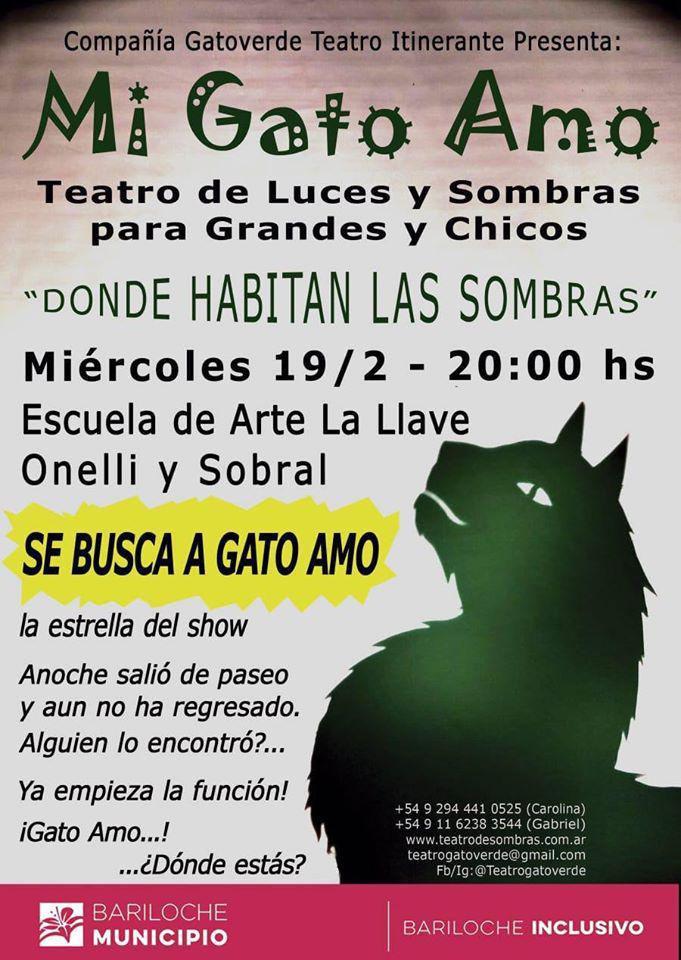 Mi Gato Amo - Teatro de luces y sombras