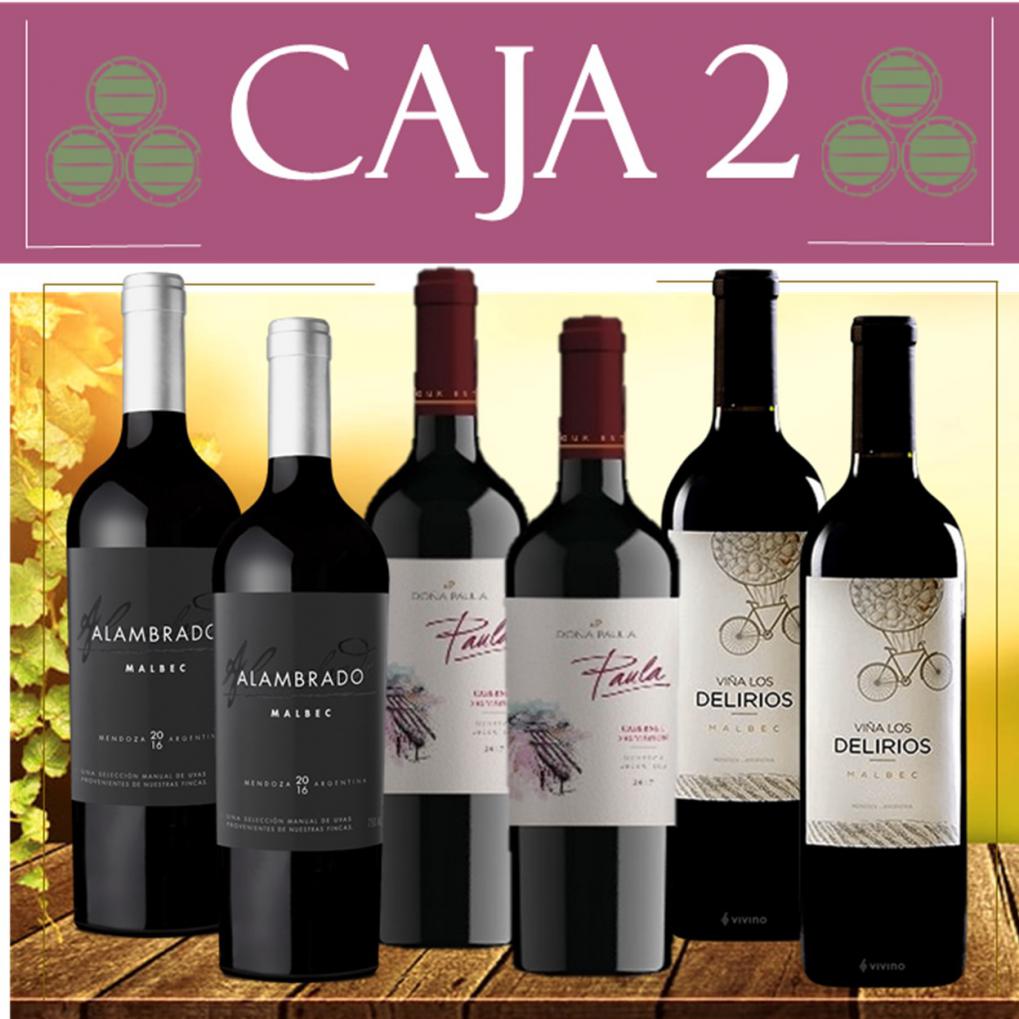 Caja 2 Selecci&oacute;n de vinos  promo $ 1.750