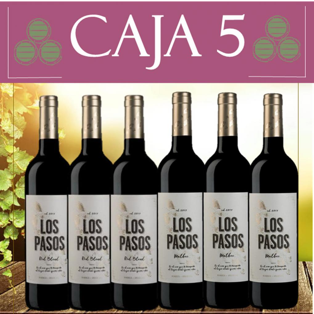 Caja 5 Selecci&oacute;n de Vinos Promo $ 1.350