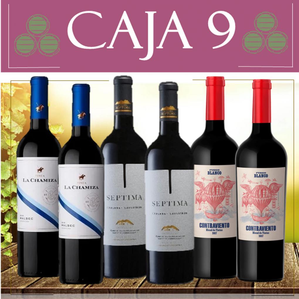 Caja 9 Selecci&oacute;n de Vinos Promo $ 1.700