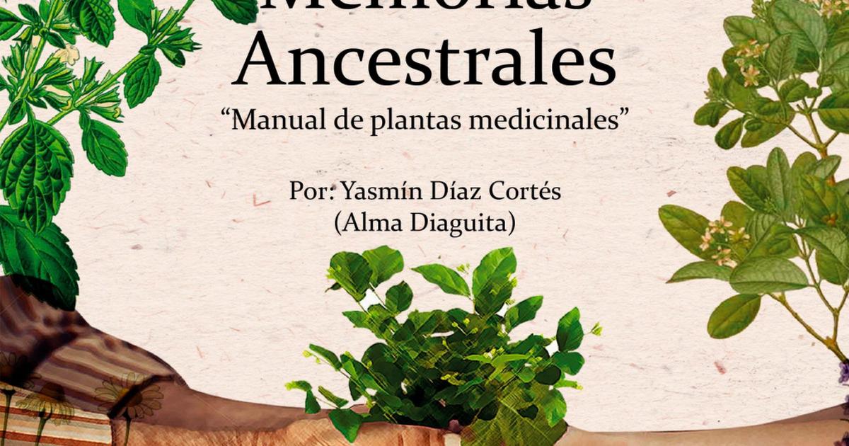Libros Para Descargar Manual Diaguita De Plantas Medicinales V3 Pdf