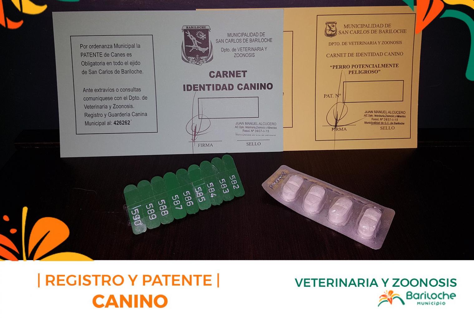 Registro y patentamiento canino