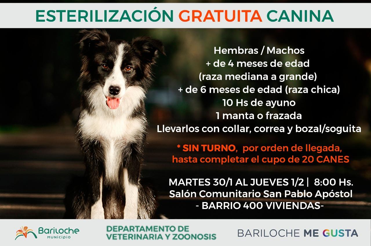 Ma&ntilde;ana comienza la campa&ntilde;a de esterilizaci&oacute;n gratuita en el B&deg; 400 Viviendas