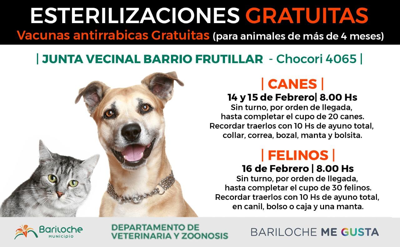 Cronograma de esterilizaciones B&deg; El Frutillar y P&aacute;jaro Azul