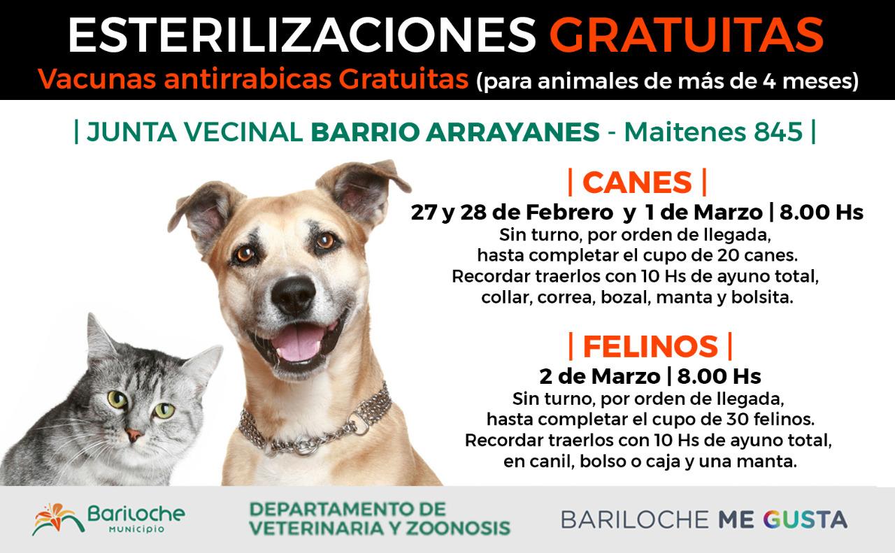 Cronograma de esterilizaci&oacute;n gratuita en el B&deg; Arrayanes