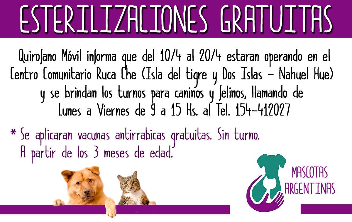 Cronograma de Esterilizaci&oacute;n gratuita para la semana pr&oacute;xima