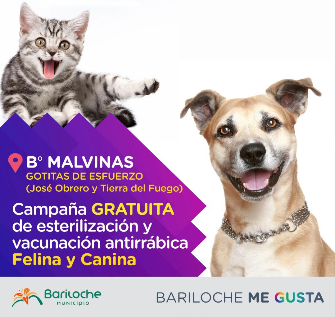 Cronograma de Esterilizaci&oacute;n en el B&deg; Nuestras Malvinas