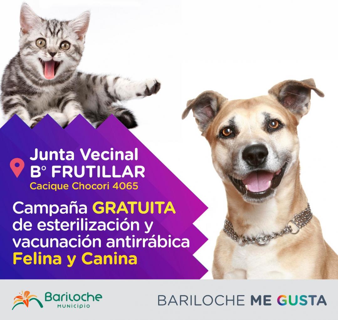 Esterilizaciones y vacunaciones antirr&aacute;bicas gratuitas en el B&deg; El Frutillar