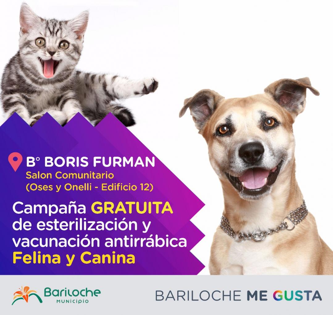 Esterilizaciones gratuitas la semana que viene en el B&deg; Boris Furman