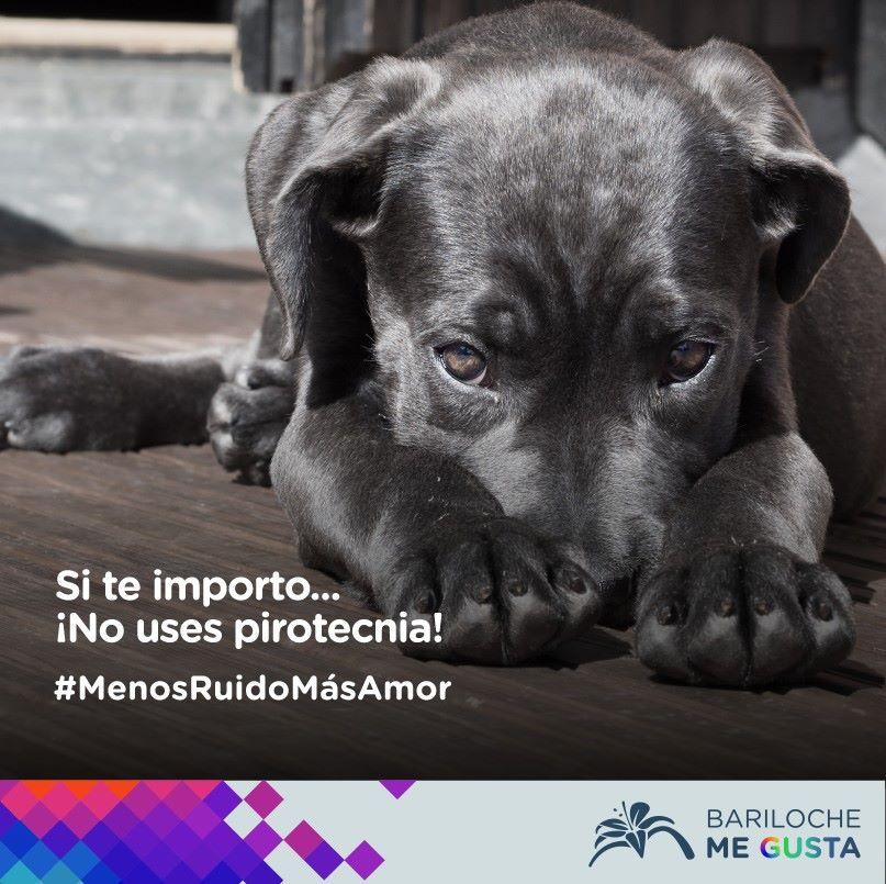 &iexcl;Festejemos con #MenosRuidoM&aacute;sAmor!