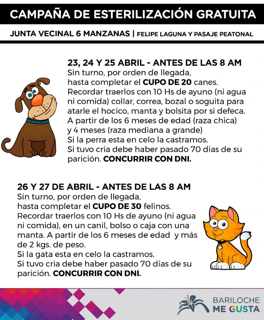 Desde el martes 23/4 la campa&ntilde;a de esterilizaci&oacute;n estar&aacute; en el B&deg; 6 Manzanas