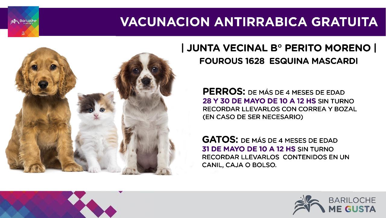A partir del martes 28, Campa&ntilde;a de esterilizaci&oacute;n y vacunaci&oacute;n gratuita en el B&deg; Perito Moreno