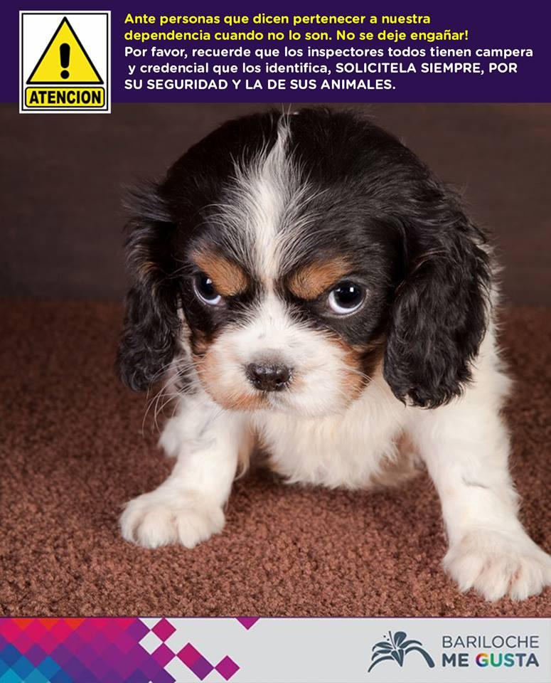 Advertencia de Veterinaria y Zoonosis