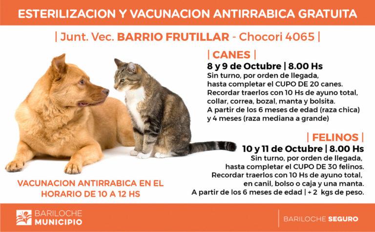 Campa&ntilde;a de esterilizaci&oacute;n en el B&deg; El Frutillar