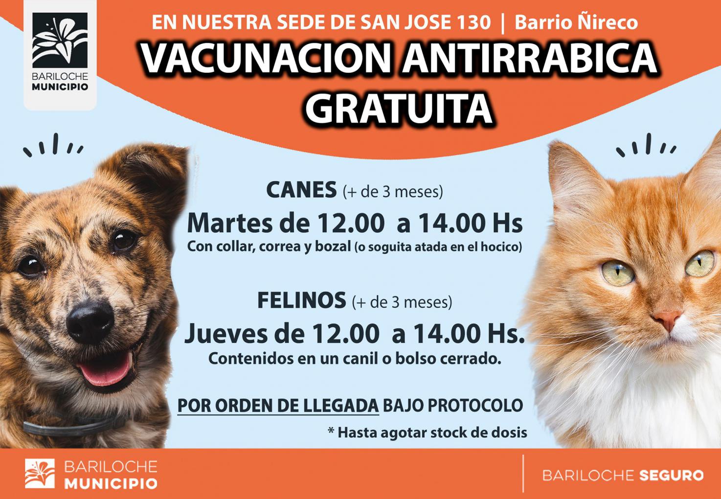 Contin&uacute;a la vacunaci&oacute;n antirr&aacute;bica