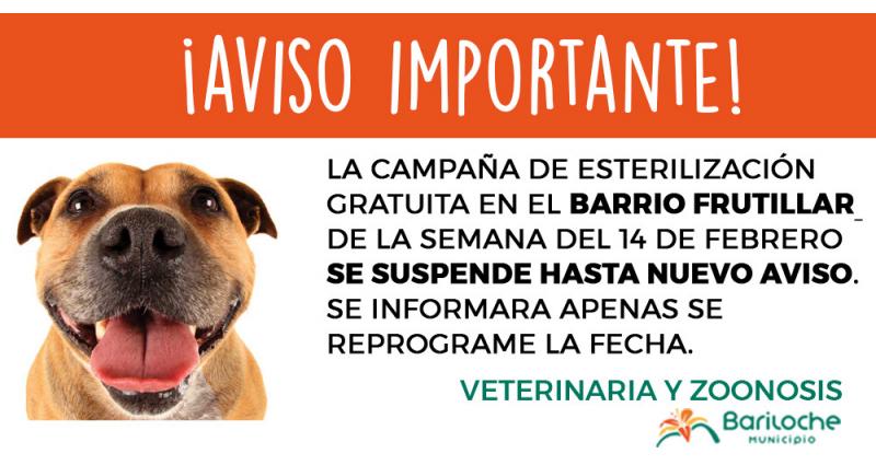 Reprograman campa&ntilde;a de esterilizaci&oacute;n el El Frutillar