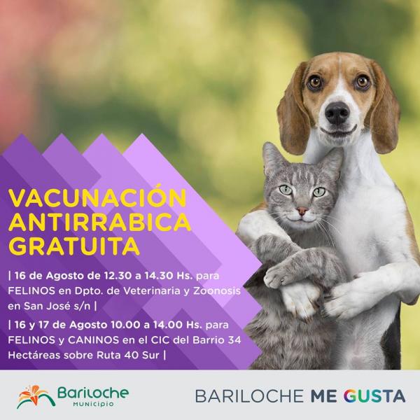 Campa&ntilde;a de vacunaci&oacute;n antirr&aacute;bica gratuita