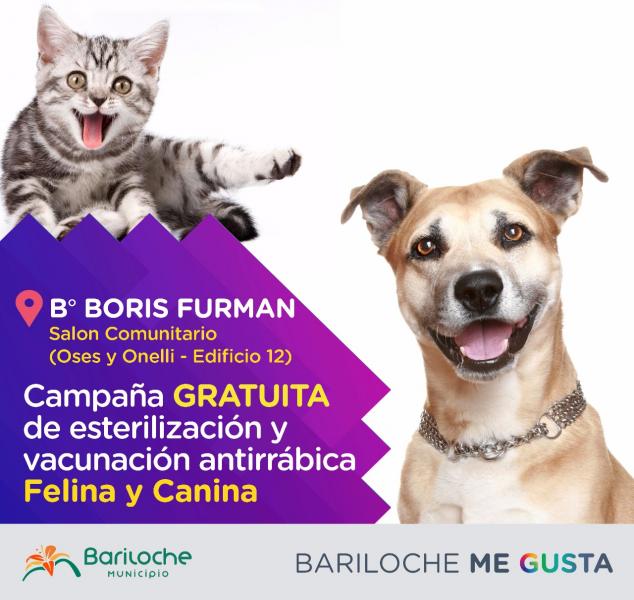 Del 23 al 26 habr&aacute; esterilizaciones gratuitas en el B&deg; Boris Furman