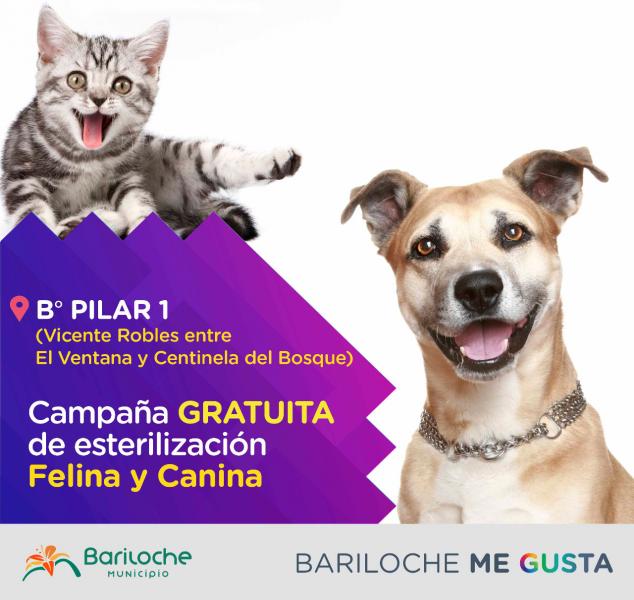 El martes 4 comienzan la esterilizaciones gratuitas en el B&deg; Pilar I