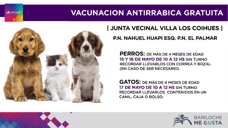 Recuerdan campa&ntilde;a de esterilizaci&oacute;n y vacunaci&oacute;n gratuita en Villa Los Coihues a partir del 15/5