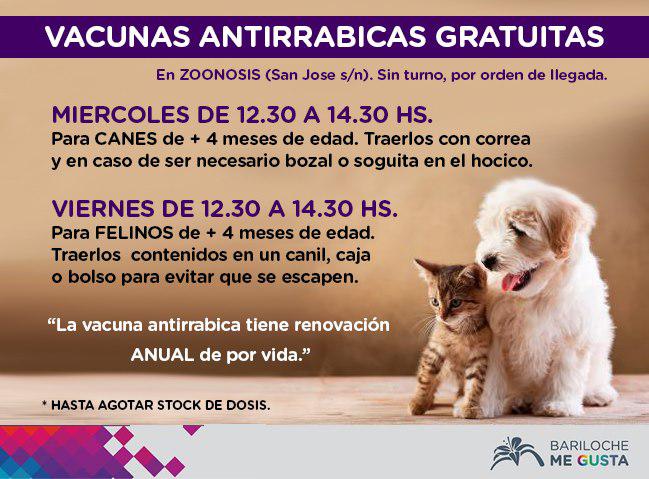 Vacunaciones antirr&aacute;bicas gratuitas en Zoonosis municipal