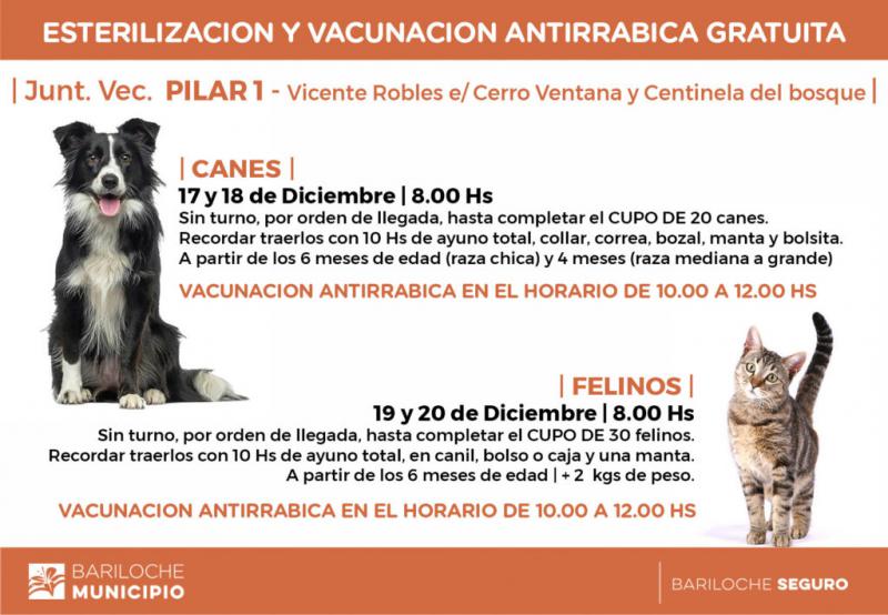 Campa&ntilde;a de esterilizaci&oacute;n gratuita el barrio PILAR I a partir del martes 17