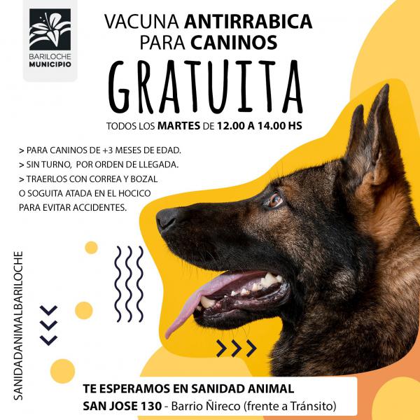 &#128021;CAMPA&Ntilde;A GRATUITA DE VACUNACION ANTIRRABICA CANINA &#128021;