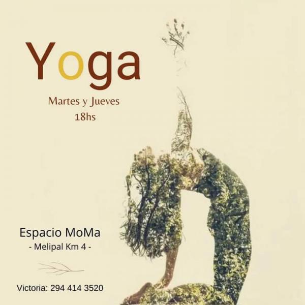 Clases de Hatha Yoga