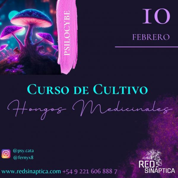 Curso de cultivo