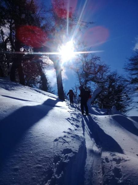 Alquiler de esqu&iacute;es de traves&iacute;a, splitboards, equipo de seguridad: palas, arvas, sondas