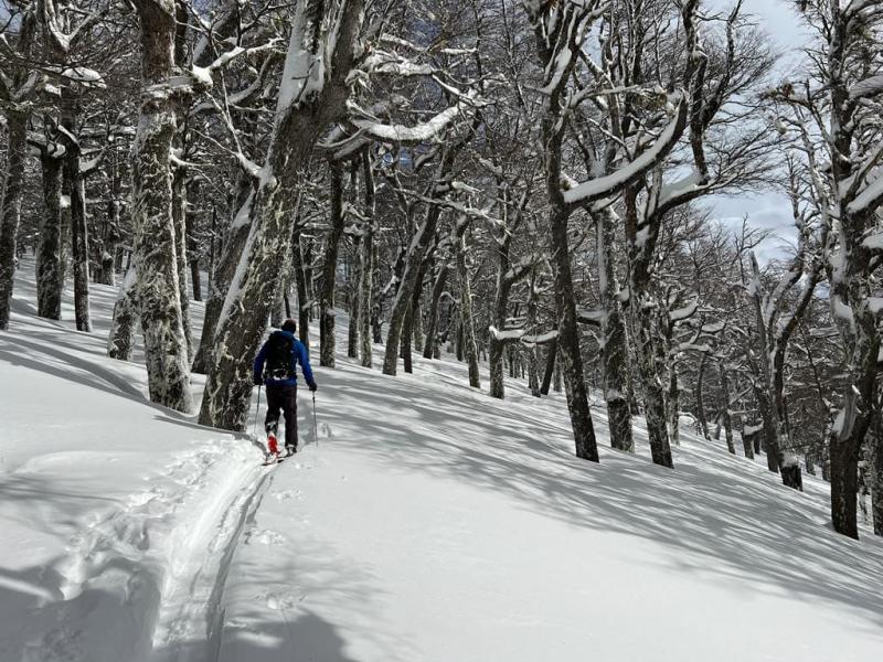 Ski de traves&iacute;a y splitboard