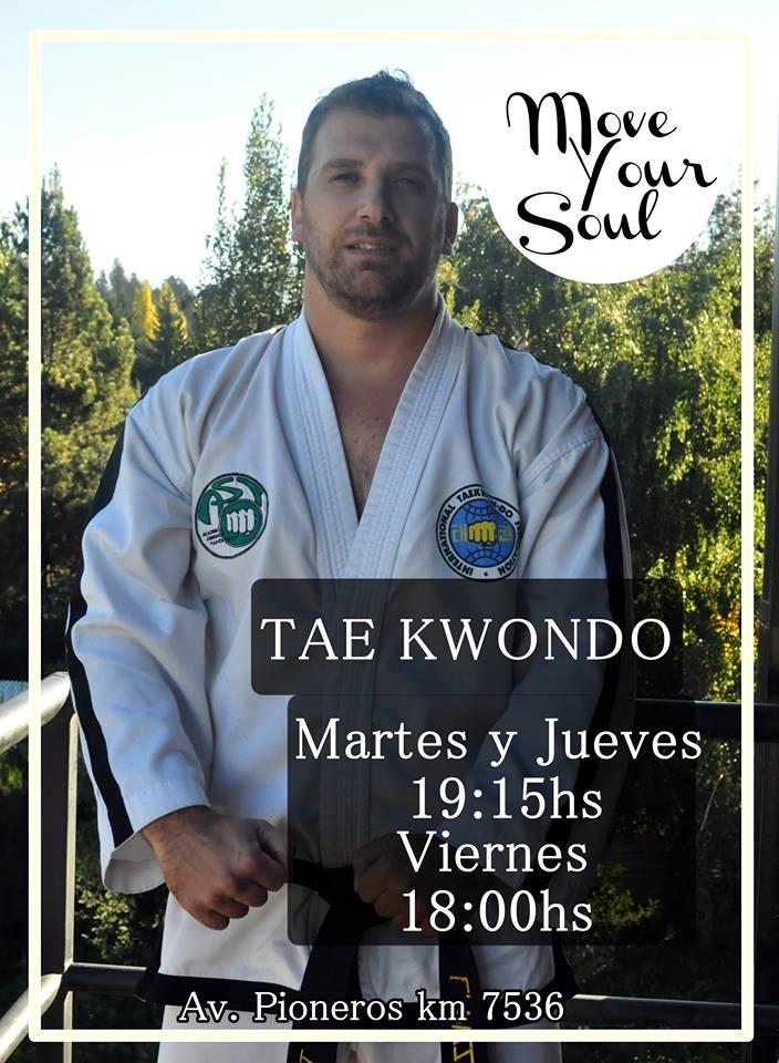 Hoy 25 de mayo no abr&aacute; TAE KWONDO 