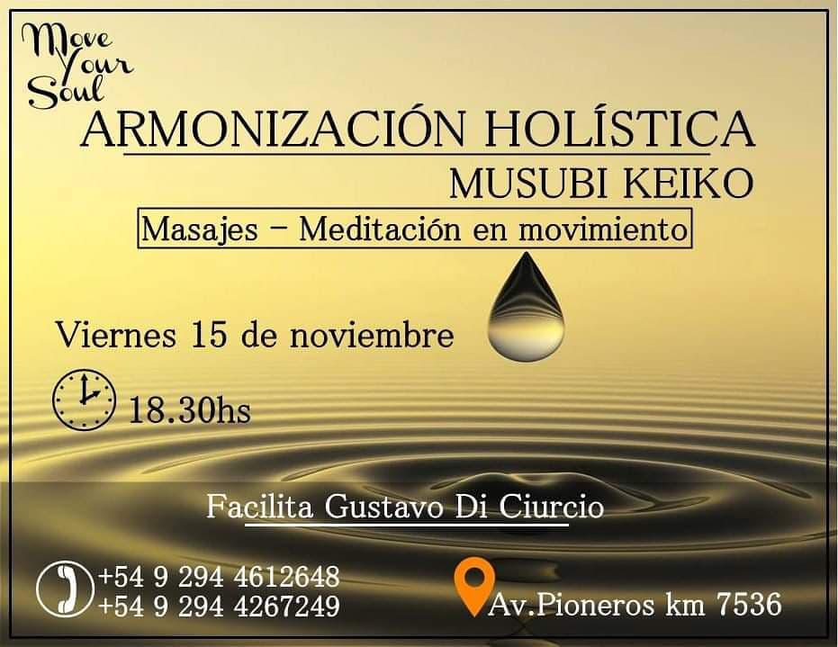 ARMONIZACI&Oacute;N HOL&Iacute;STICA - MUSUBI KEIKO