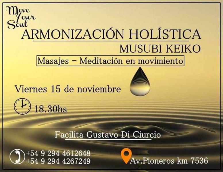 ARMONIZACI&Oacute;N HOL&Iacute;STICA - MUSUBI KEIKO